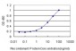 EMILIN1 Antibody (monoclonal) (M01)
